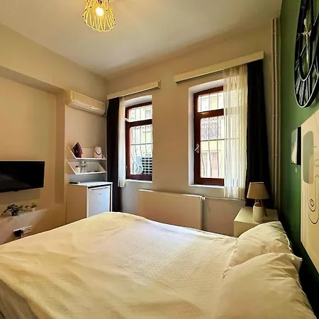 别墅 Triplex In Taksim Square With 4 Bedroom