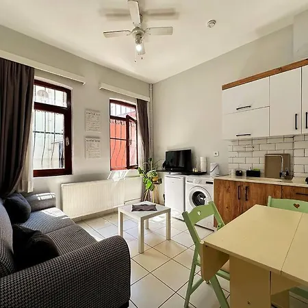 别墅 Triplex In Taksim Square With 4 Bedroom *