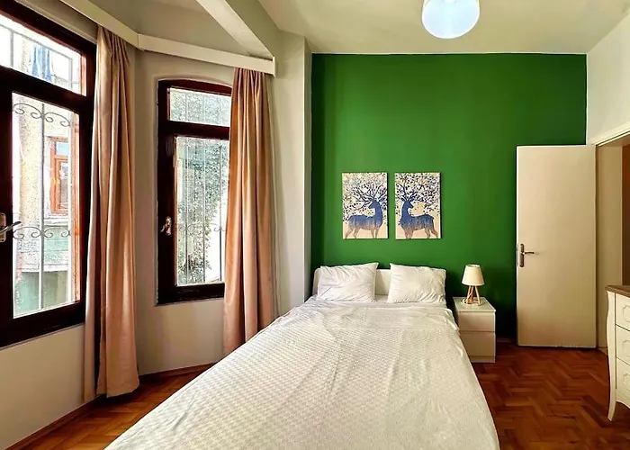 Triplex In Taksim Square With 4 Bedroom 别墅 伊斯坦布尔